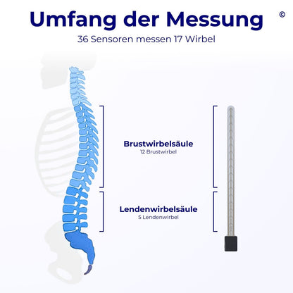 Haltungstrainer